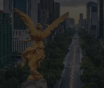 CDMX bg
